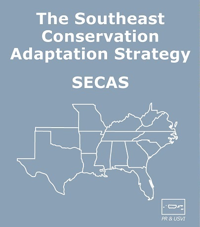 Southeast Conservation Adaptation Strategy